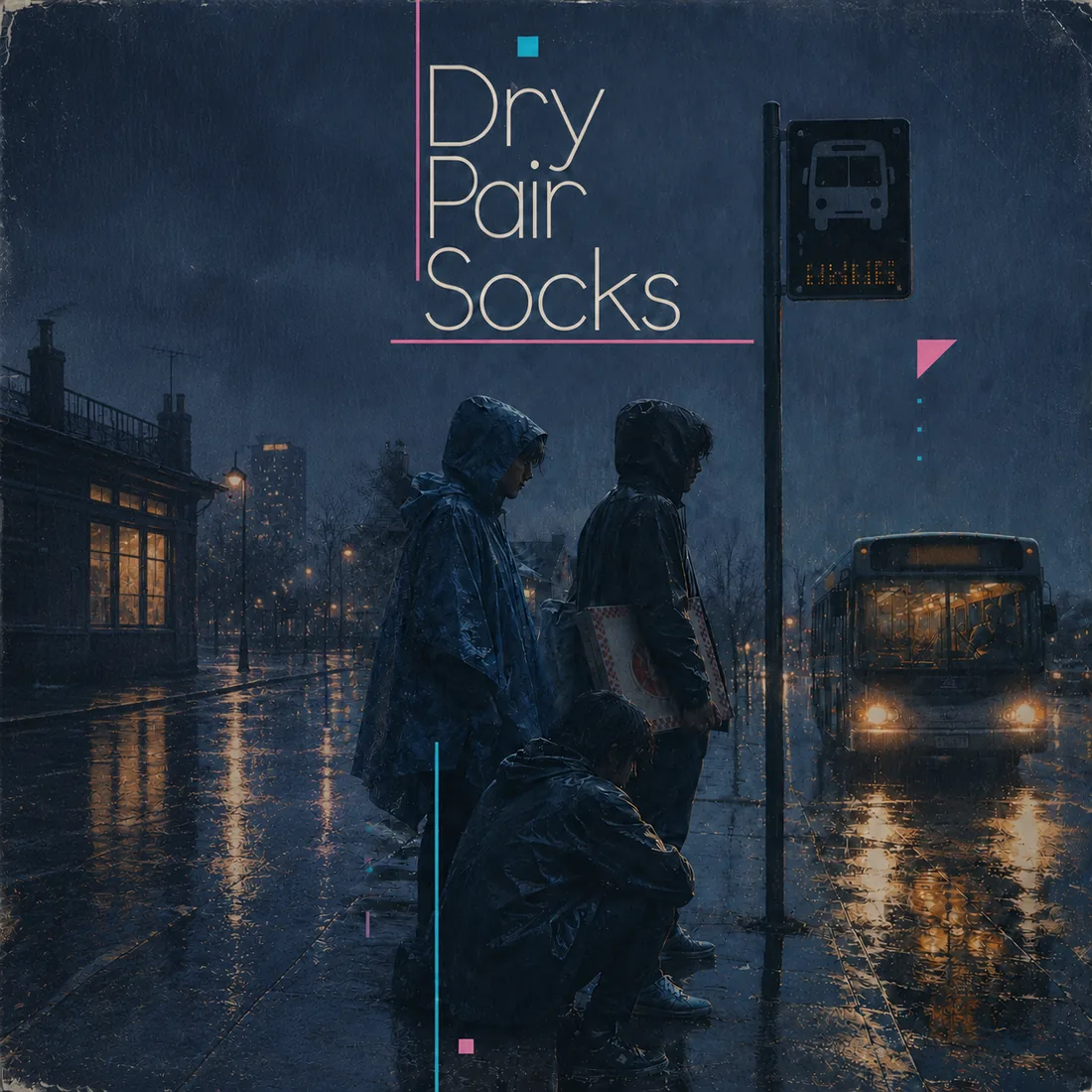 Cover art for Dry Pair Socks